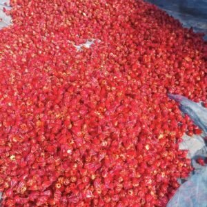 🌺 রোজেলা চা: প্রাকৃতিক সতেজতা ও সুস্থতার এক অনন্য পানীয়